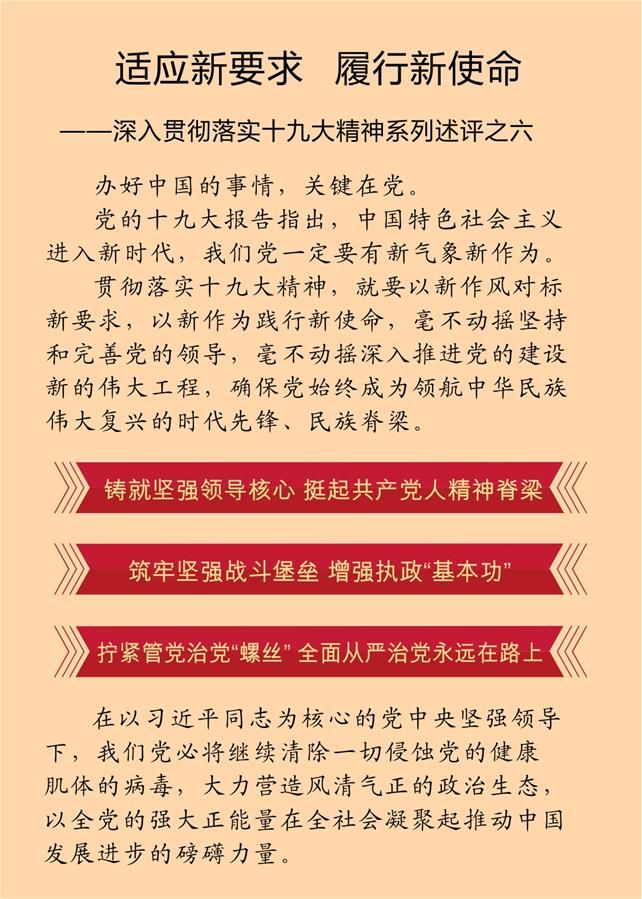 適應新要求 履行新使命——深入貫徹落實十九大精神系列述評之六